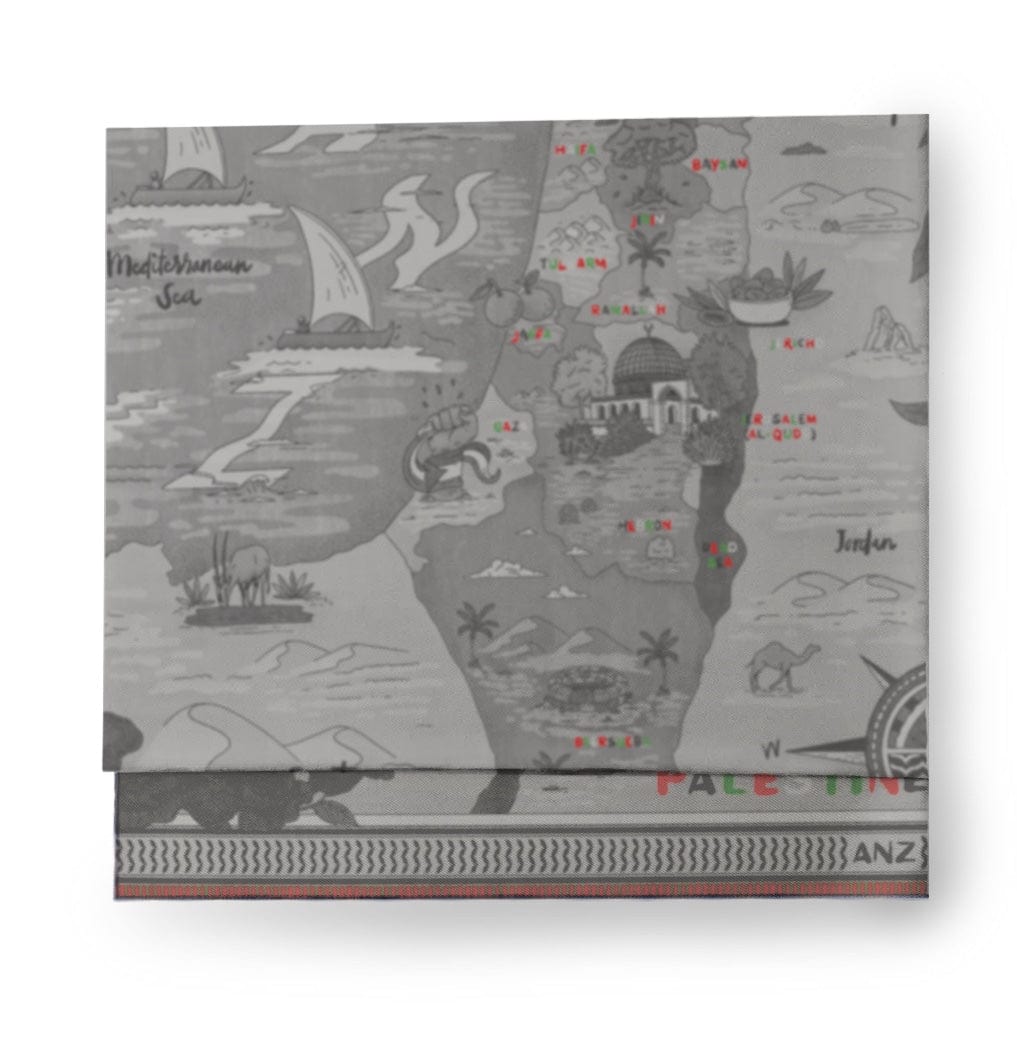 Map of Palestine Cashmere shawl